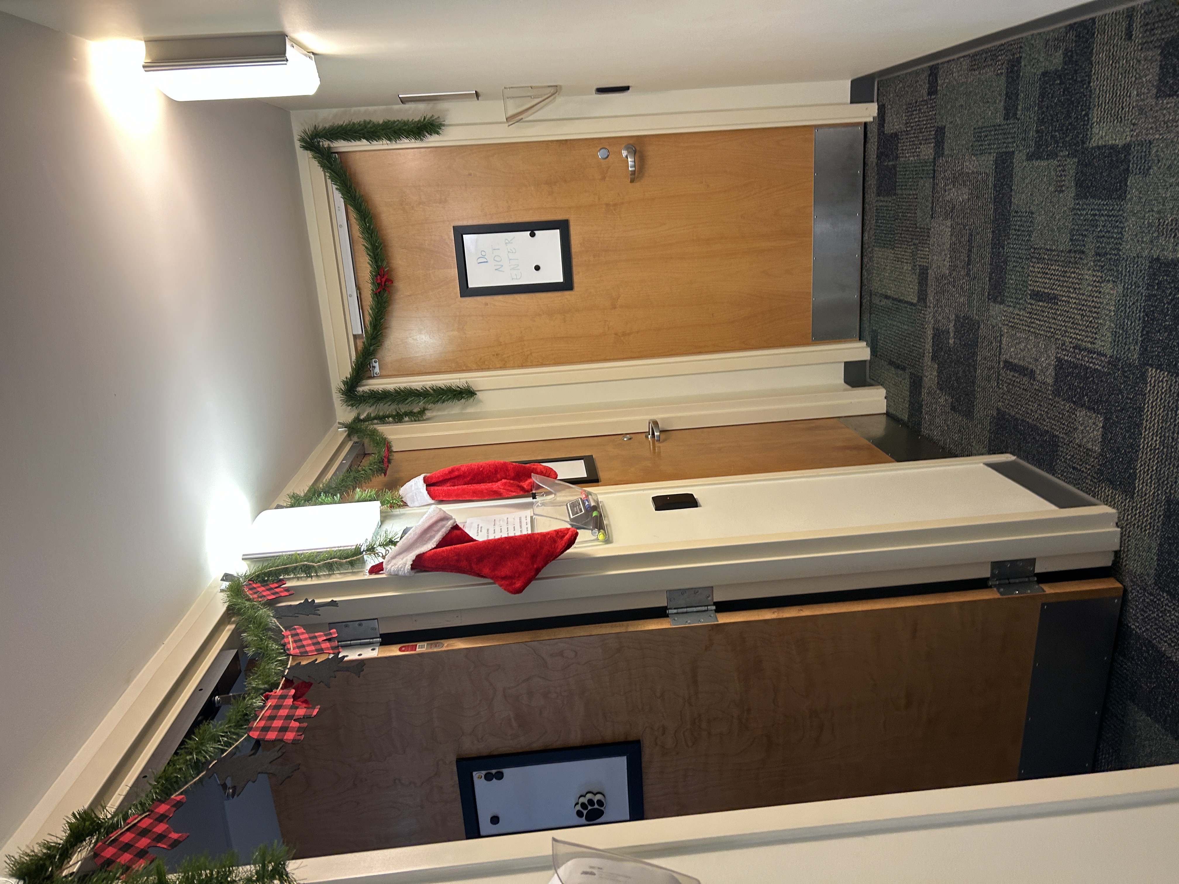 Natural Sciences Natural Sciences