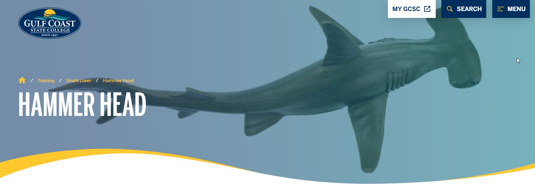 Image showing Preview Banner