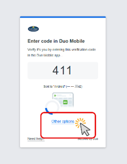 Image of enter code in Duo Mobile
