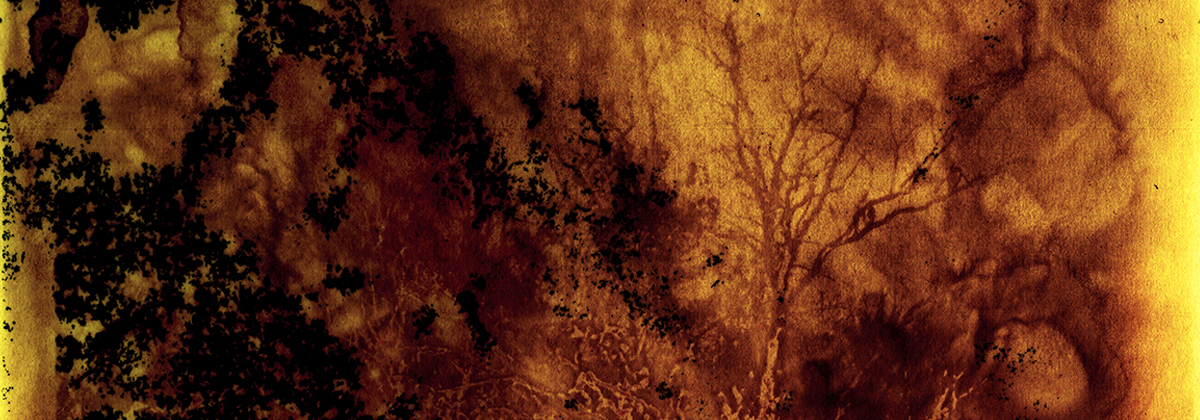 Start Here Go Anywhere